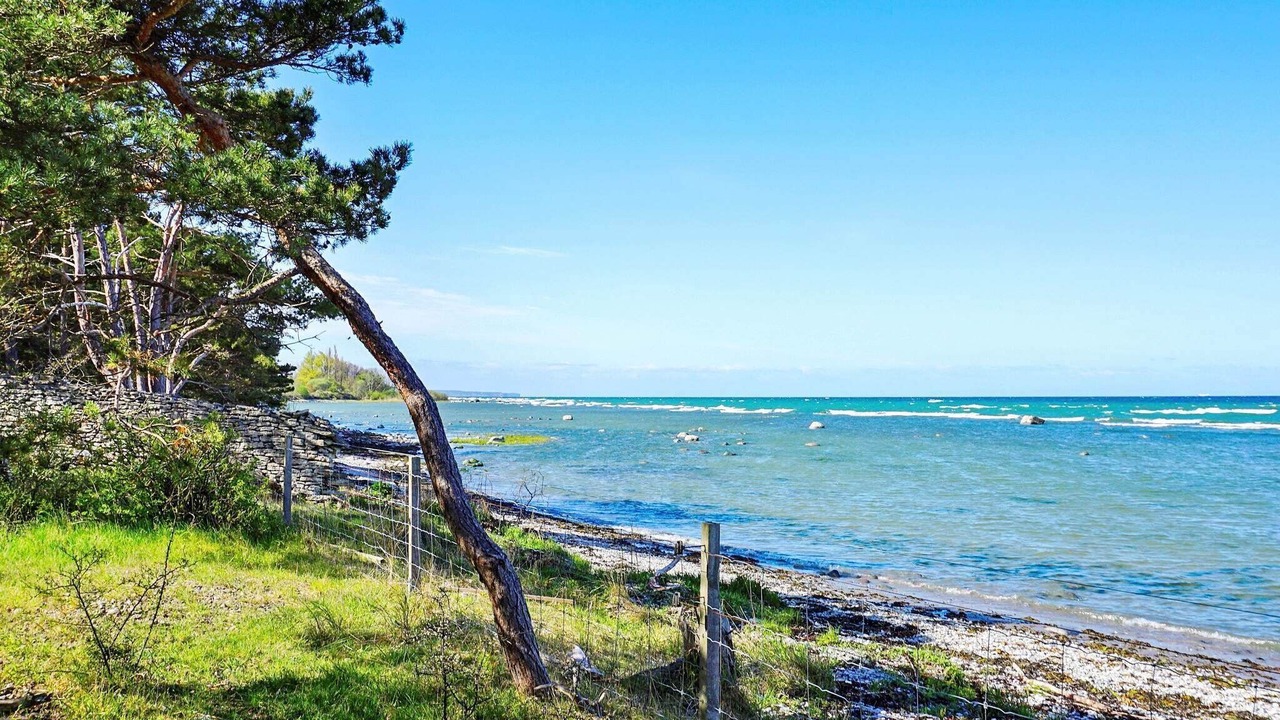 Photo of Others in East Visby