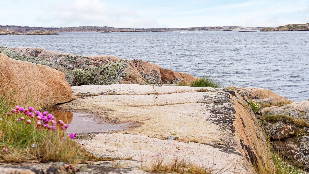 Photo of Others in Kungshamn