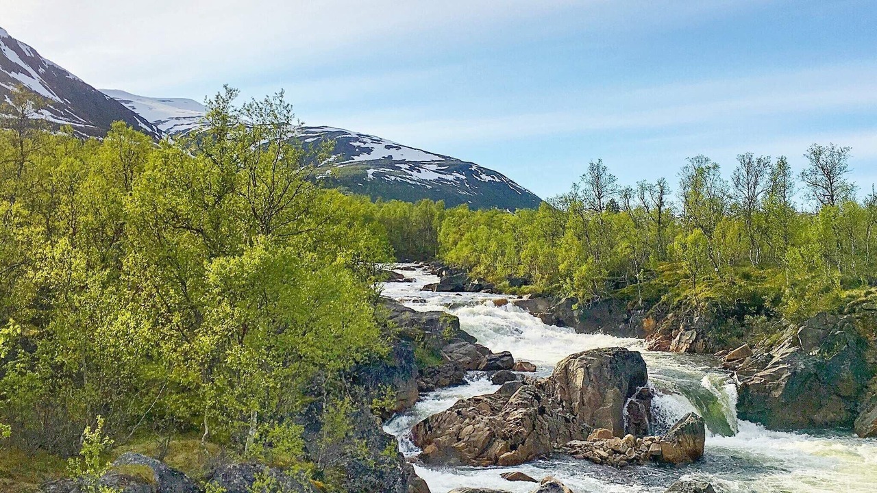 Photo of Others in Sifjord