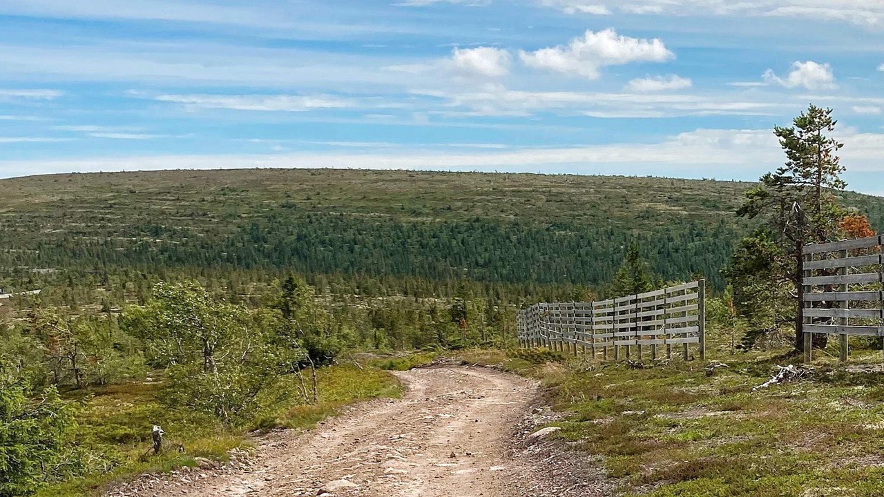Photo of Others in Stoten