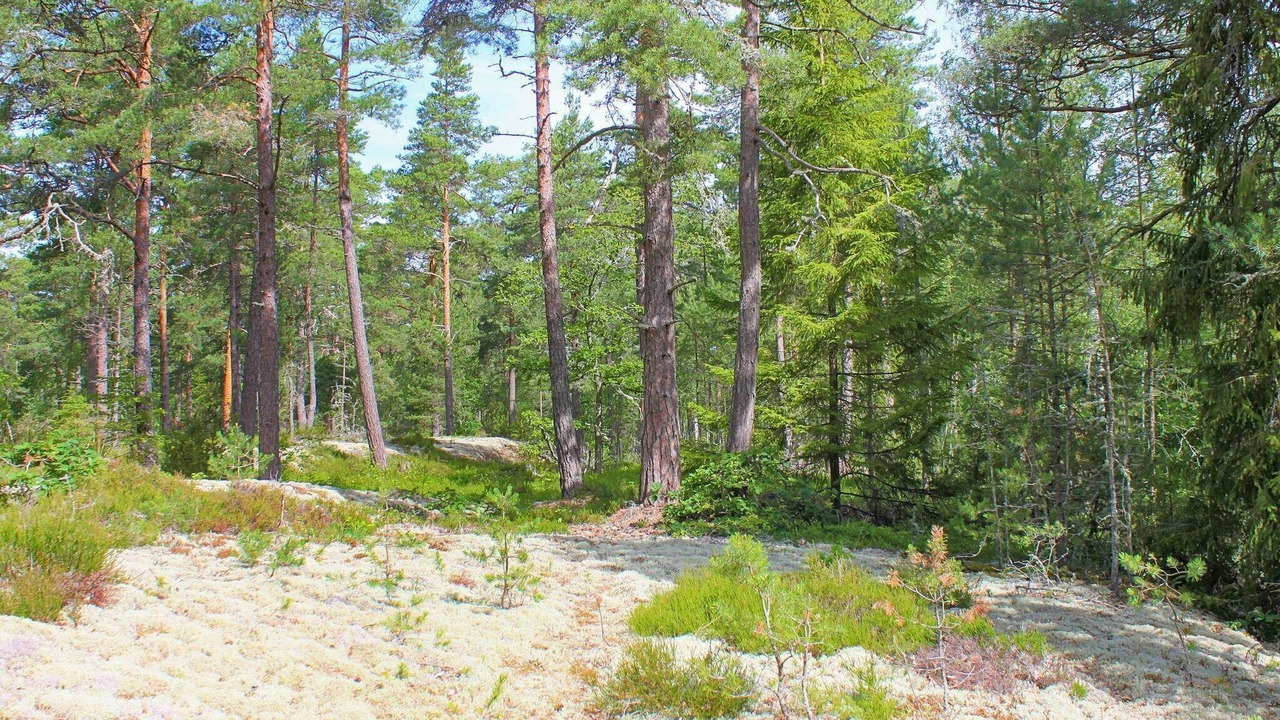 Photo of Outdoor in Otterstad
