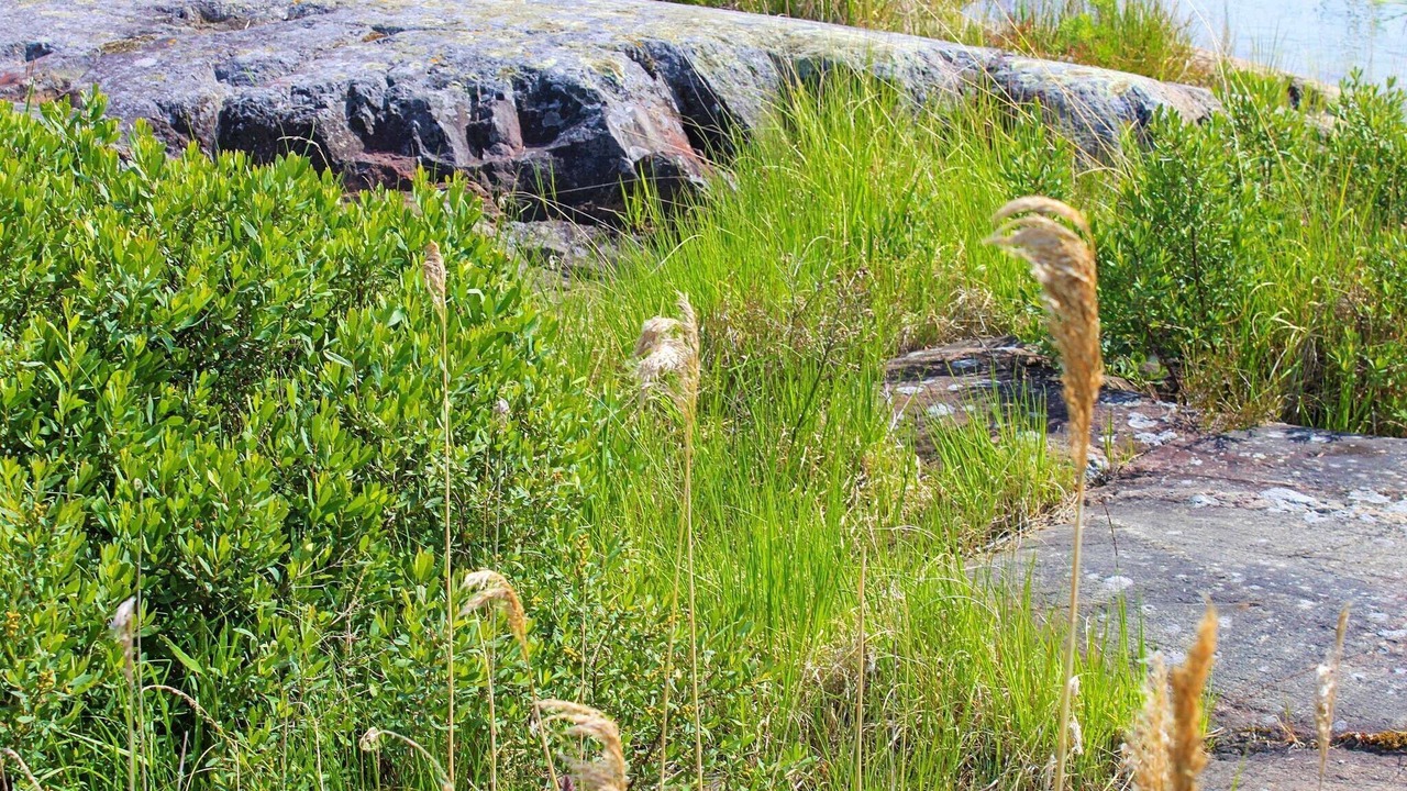 Photo of Outdoor in Otterstad