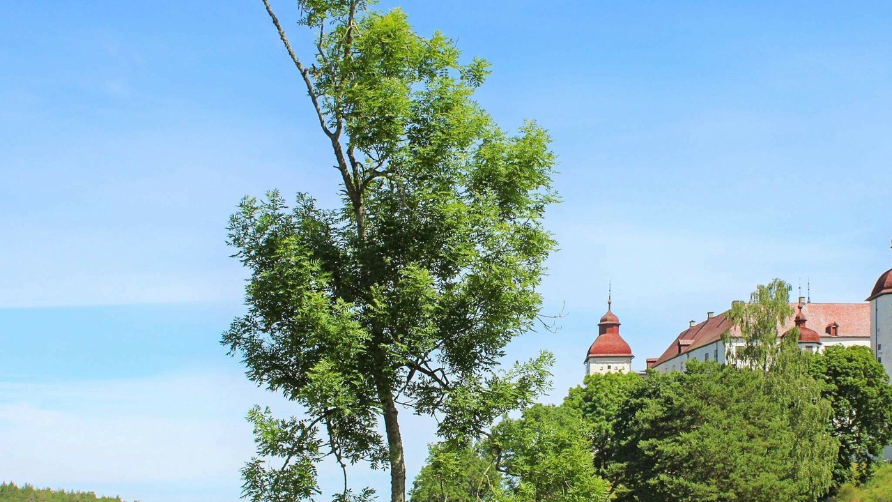 Photo of Outdoor in Otterstad