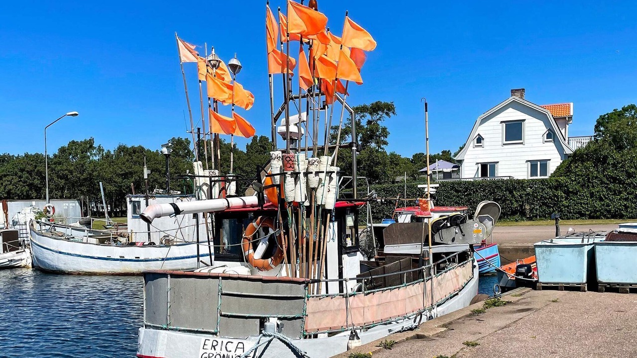 Photo of Others in Gronhogen