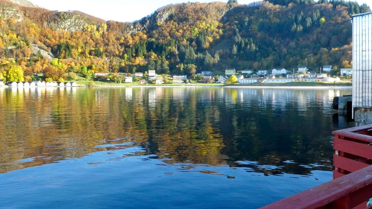 Photo of Outdoor in Selje