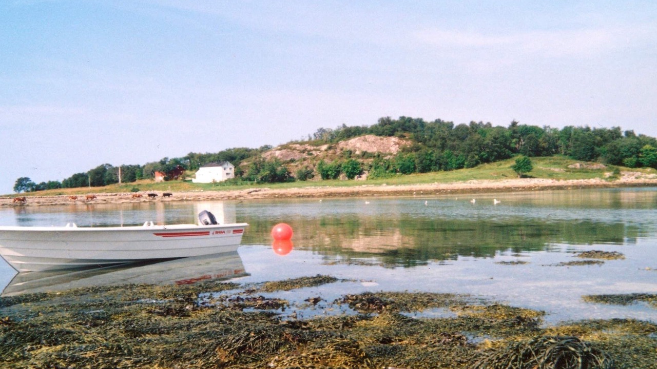 Photo of Others in Meloy