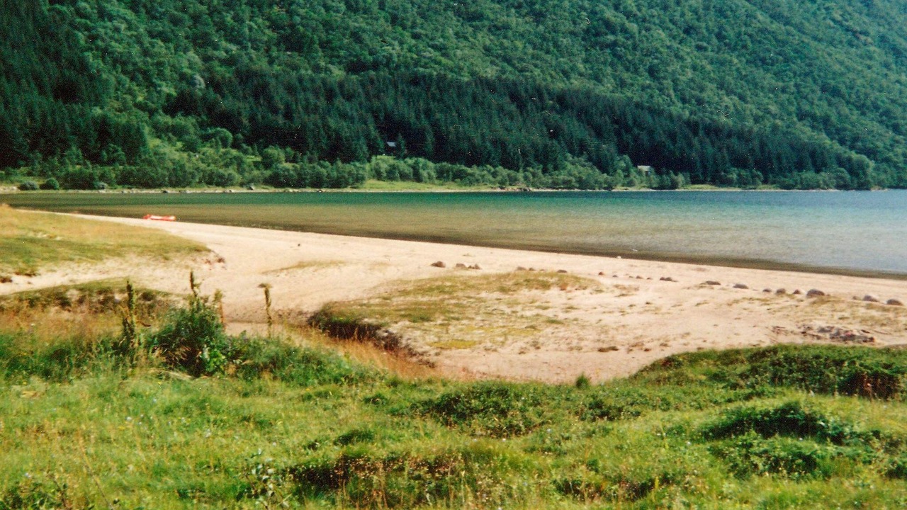Photo of Others in Meloy