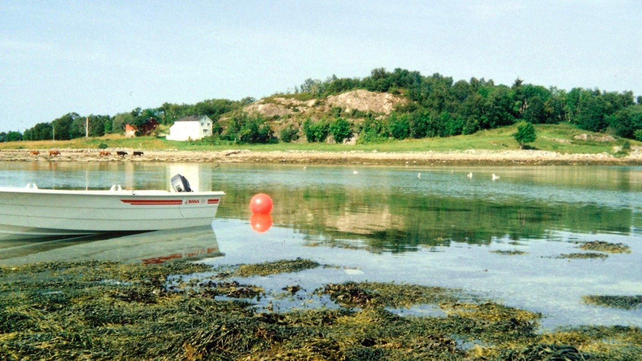 Photo of Others in Meloy
