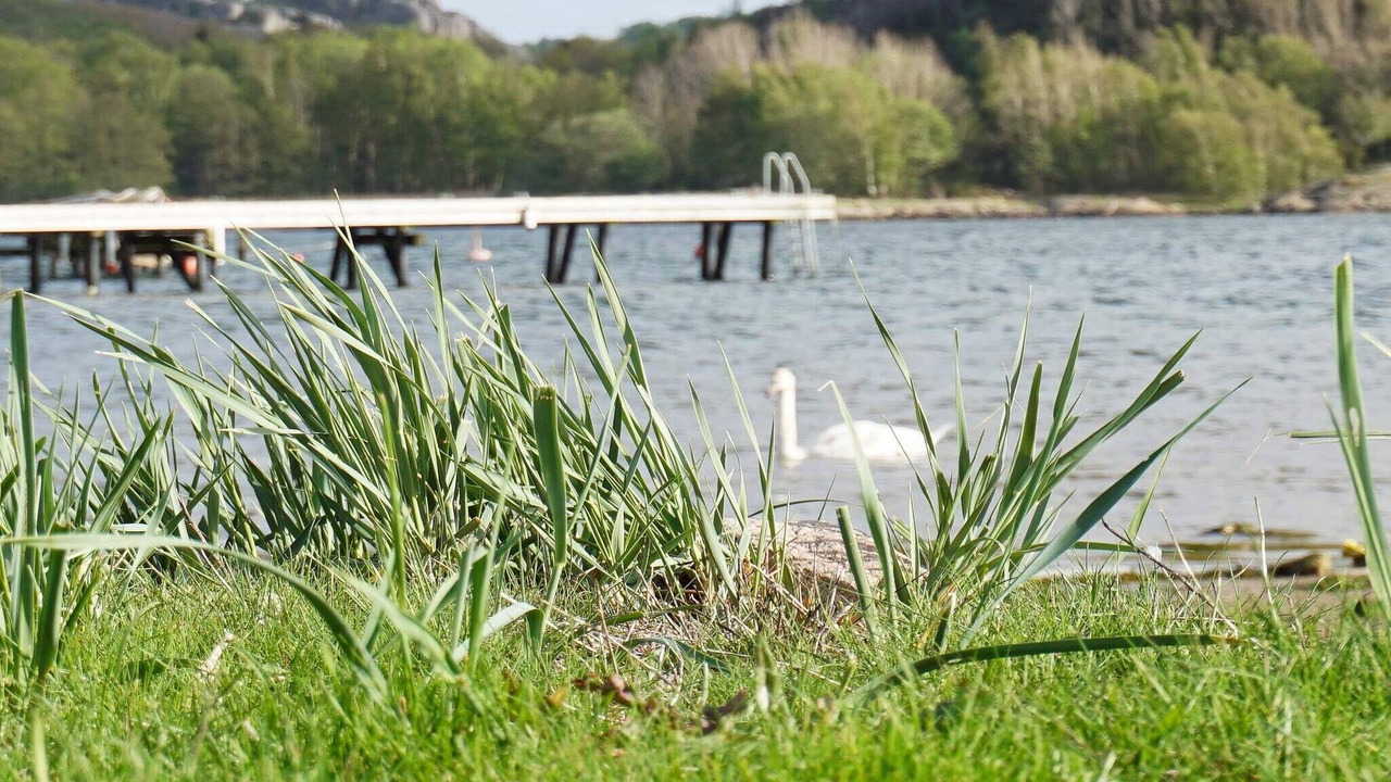 Photo of Others in Bovallstrand
