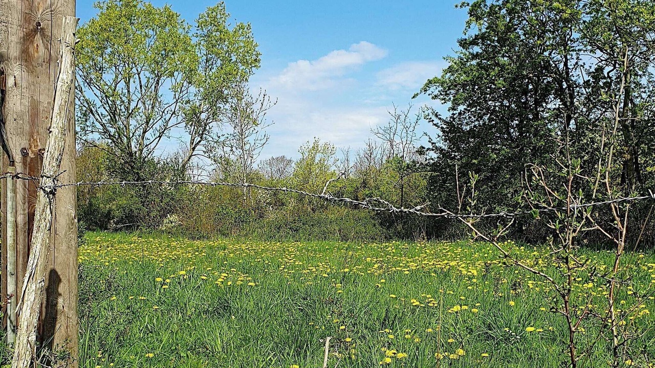 Photo of Outdoor in Kopingsvik