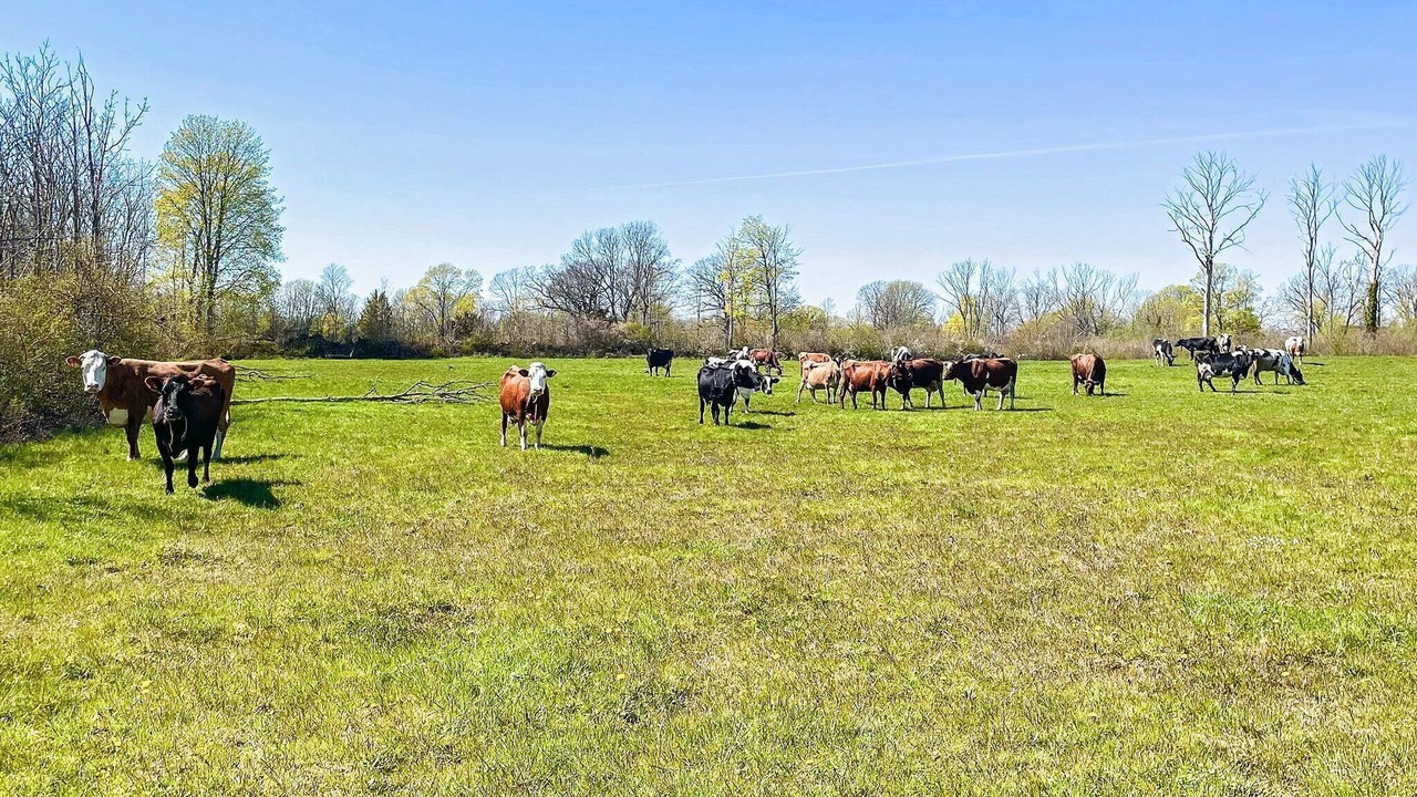 Photo of Outdoor in Storlinge