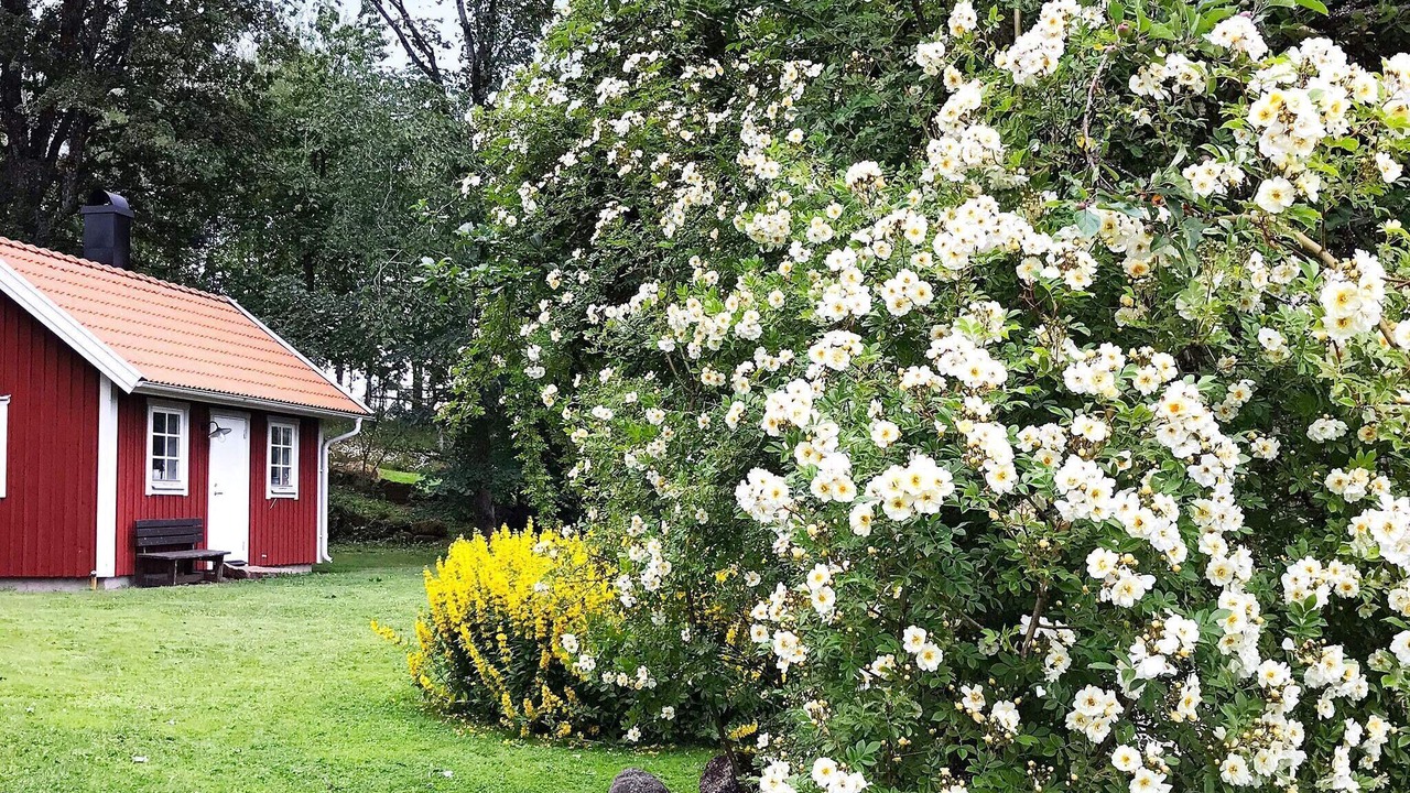 Photo of Outdoor in Falkoping