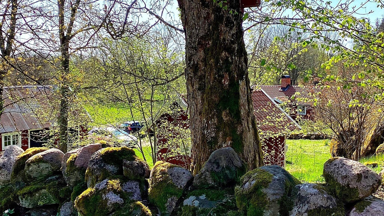 Photo of Others in Falkoping