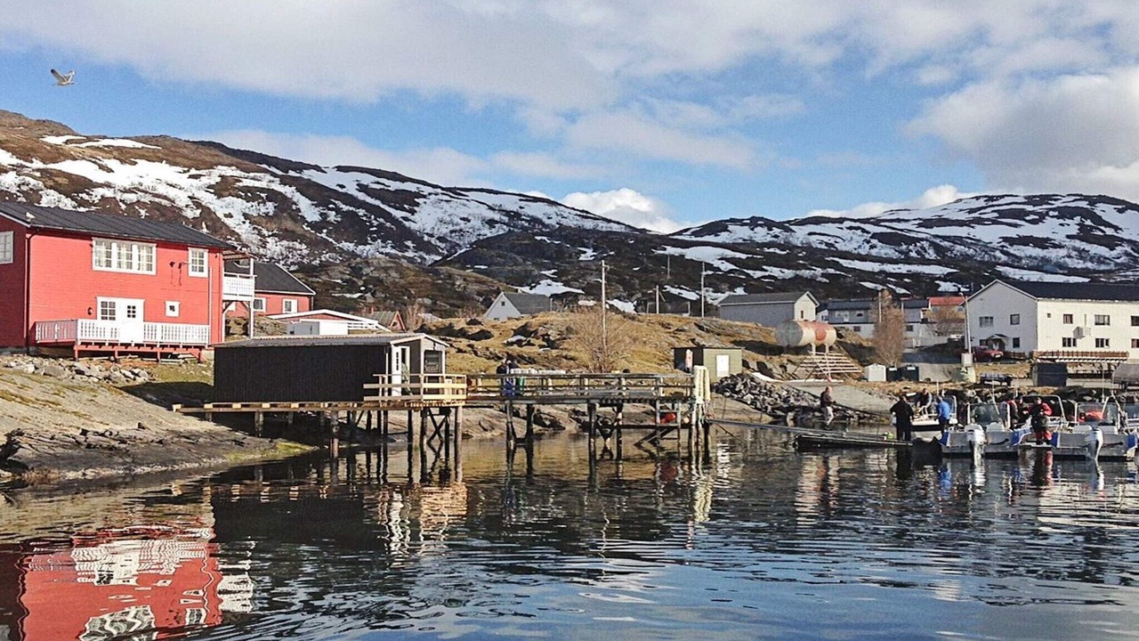 Photo of Others in Breivikbotn