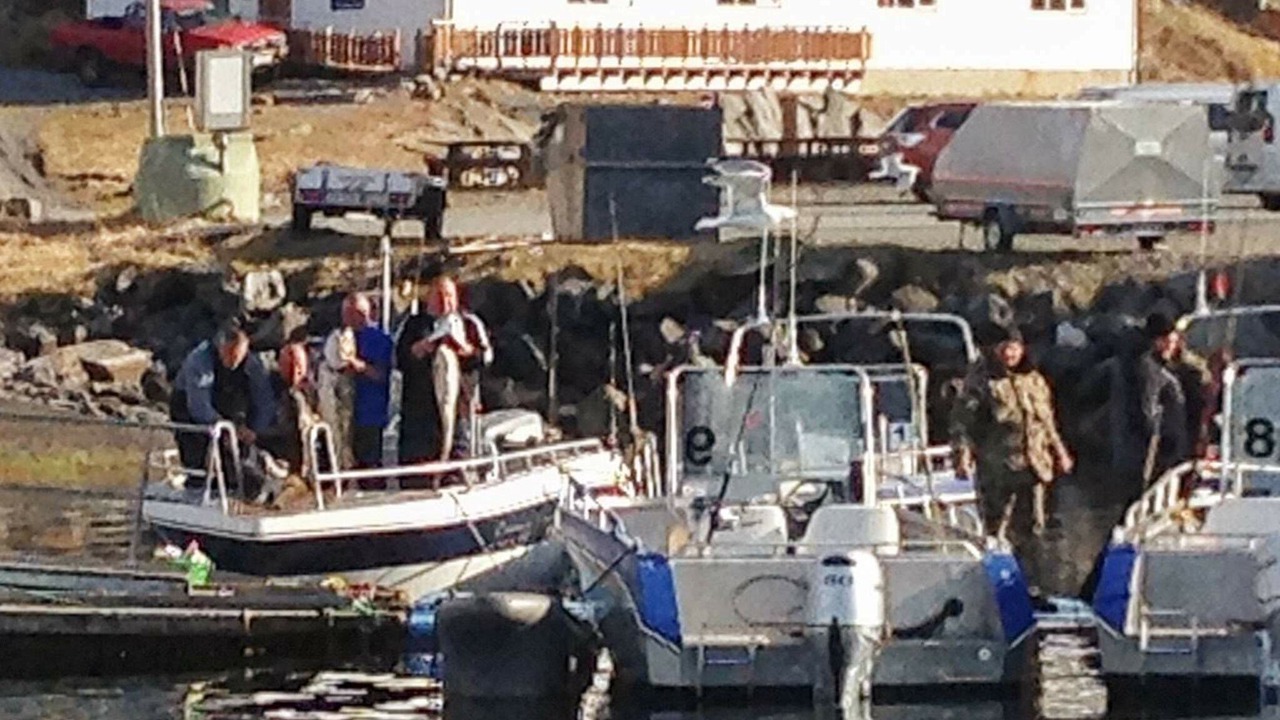 Photo of Others in Breivikbotn