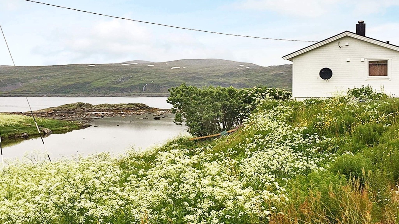 Photo of Outdoor in Breivikbotn