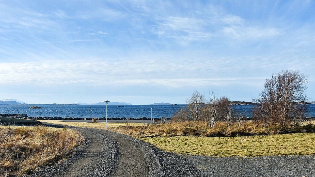 Photo of Others in Aukra