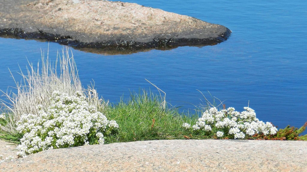 Photo of Outdoor in Lysekil