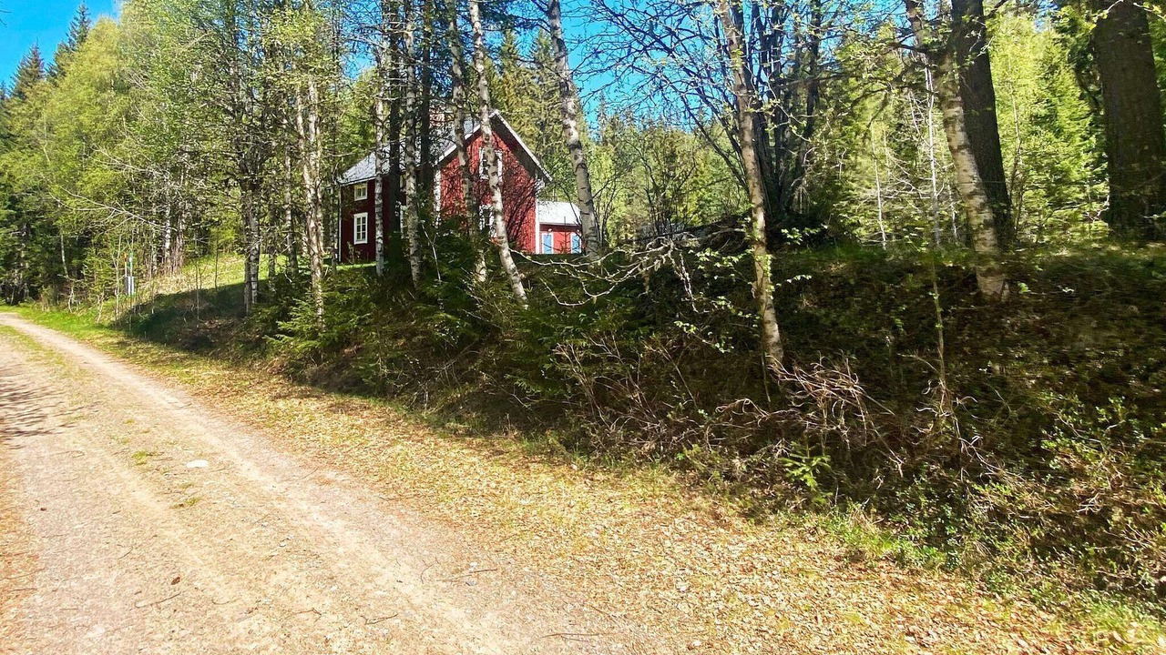 Photo of Outdoor in Transtrand