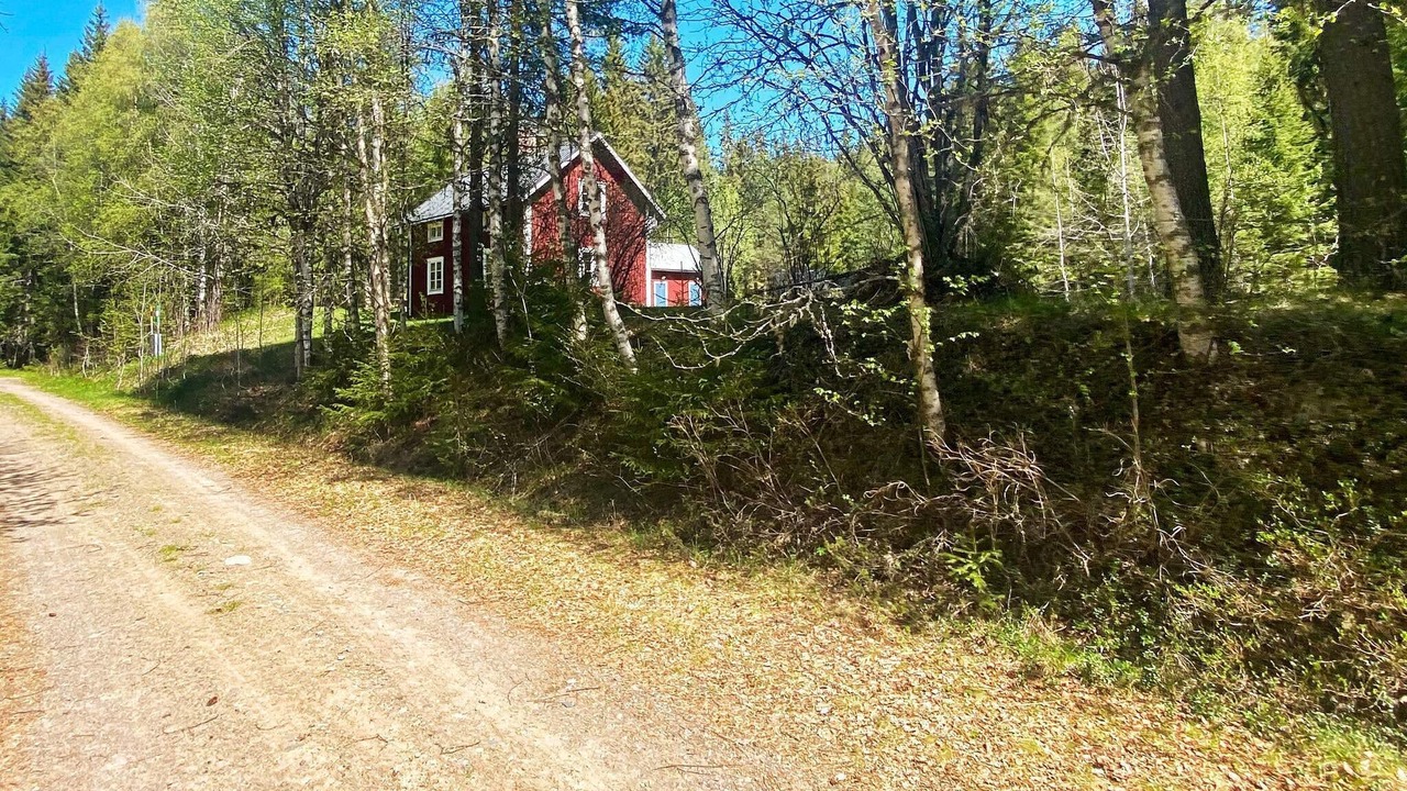 Photo of Outdoor in Transtrand