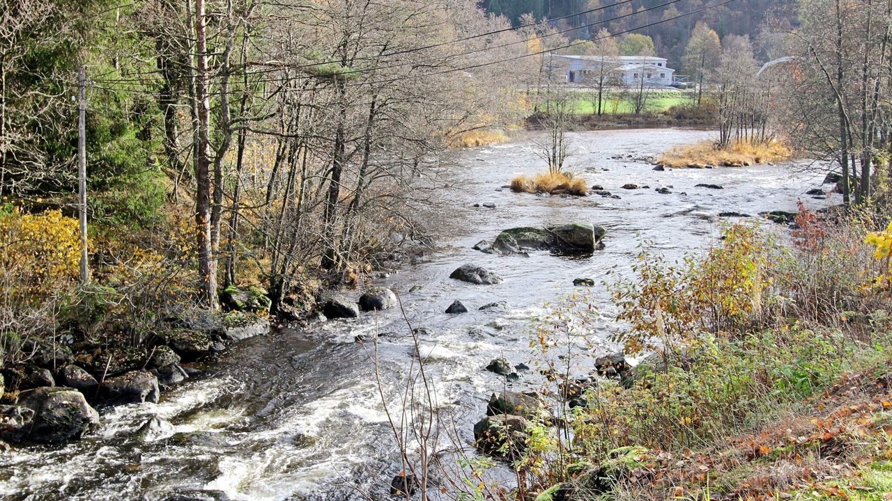 Photo of Outdoor in Sør-audnedal