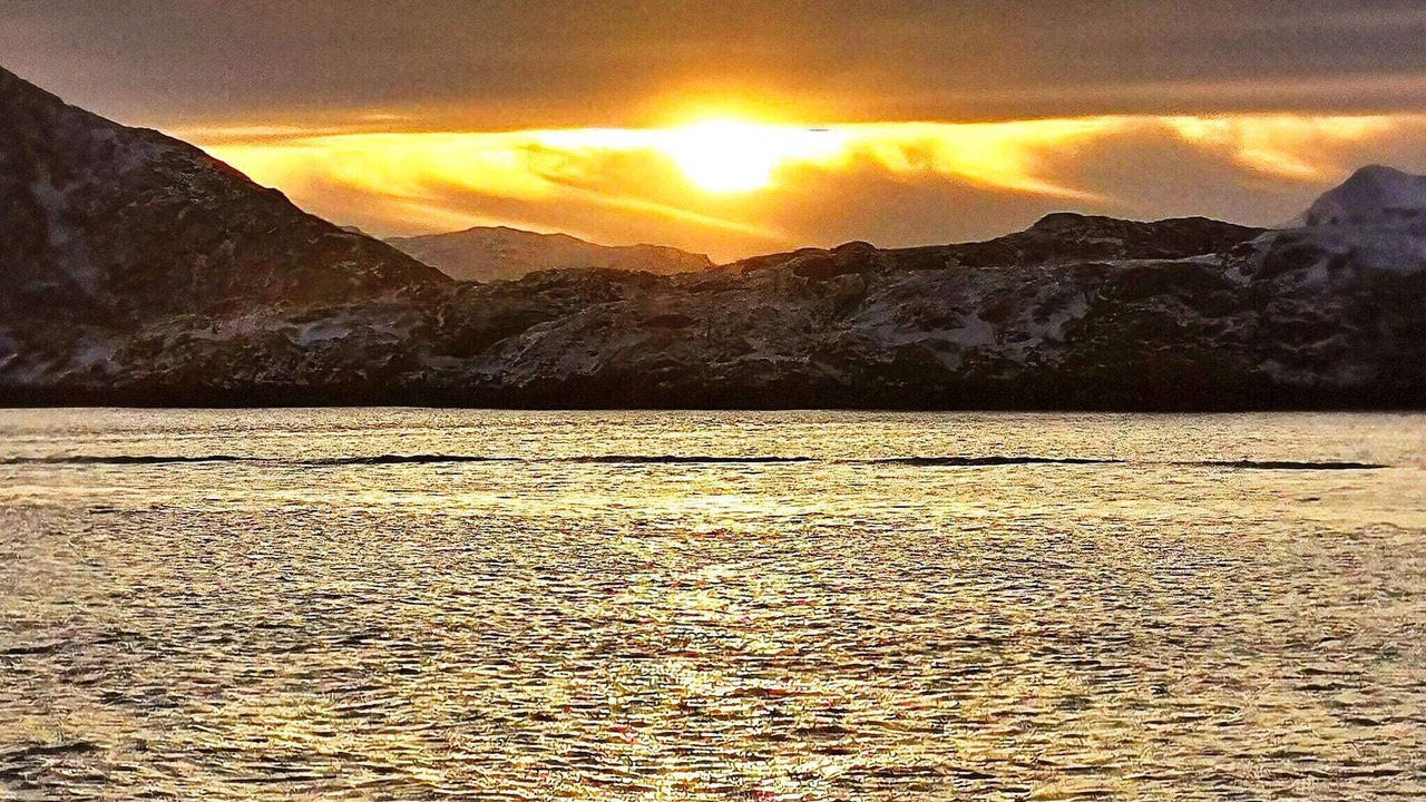 Photo of Others in Tromso