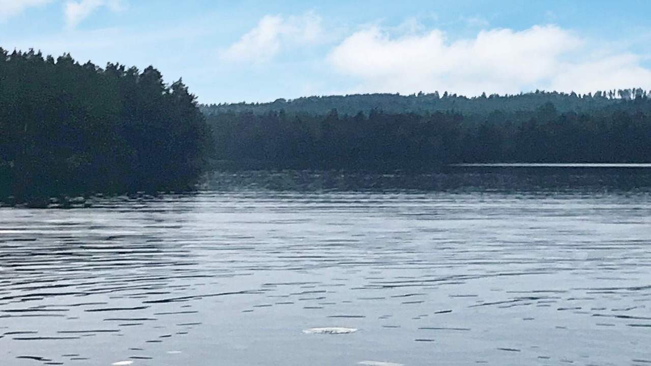 Photo of Others in Virserum