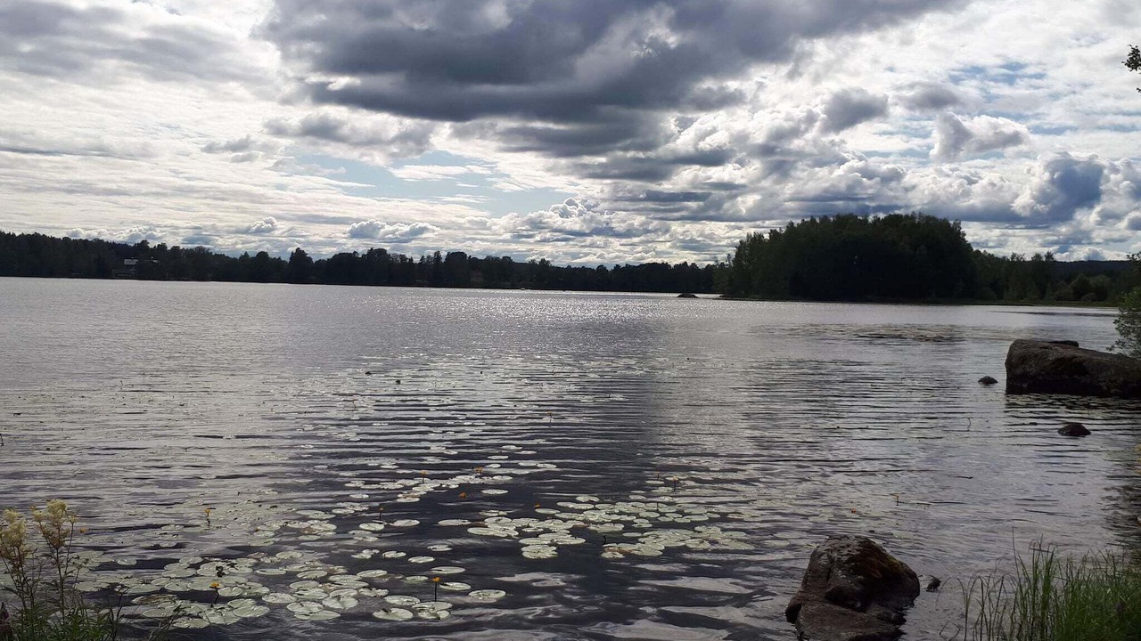 Photo of Others in Bodarne