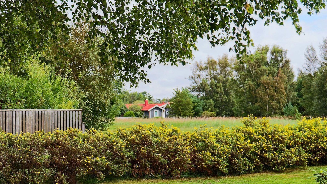 Photo of Outdoor in Mellbystrand