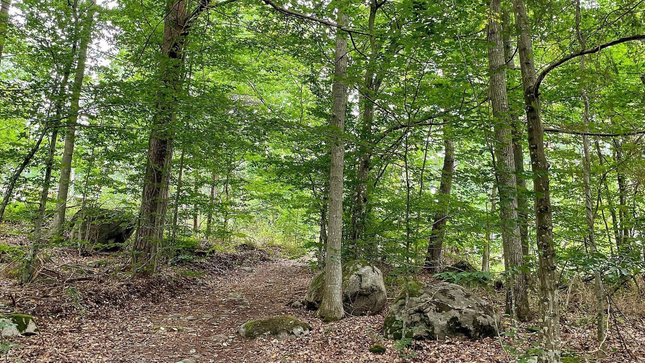 Photo of Outdoor in Karlshamn