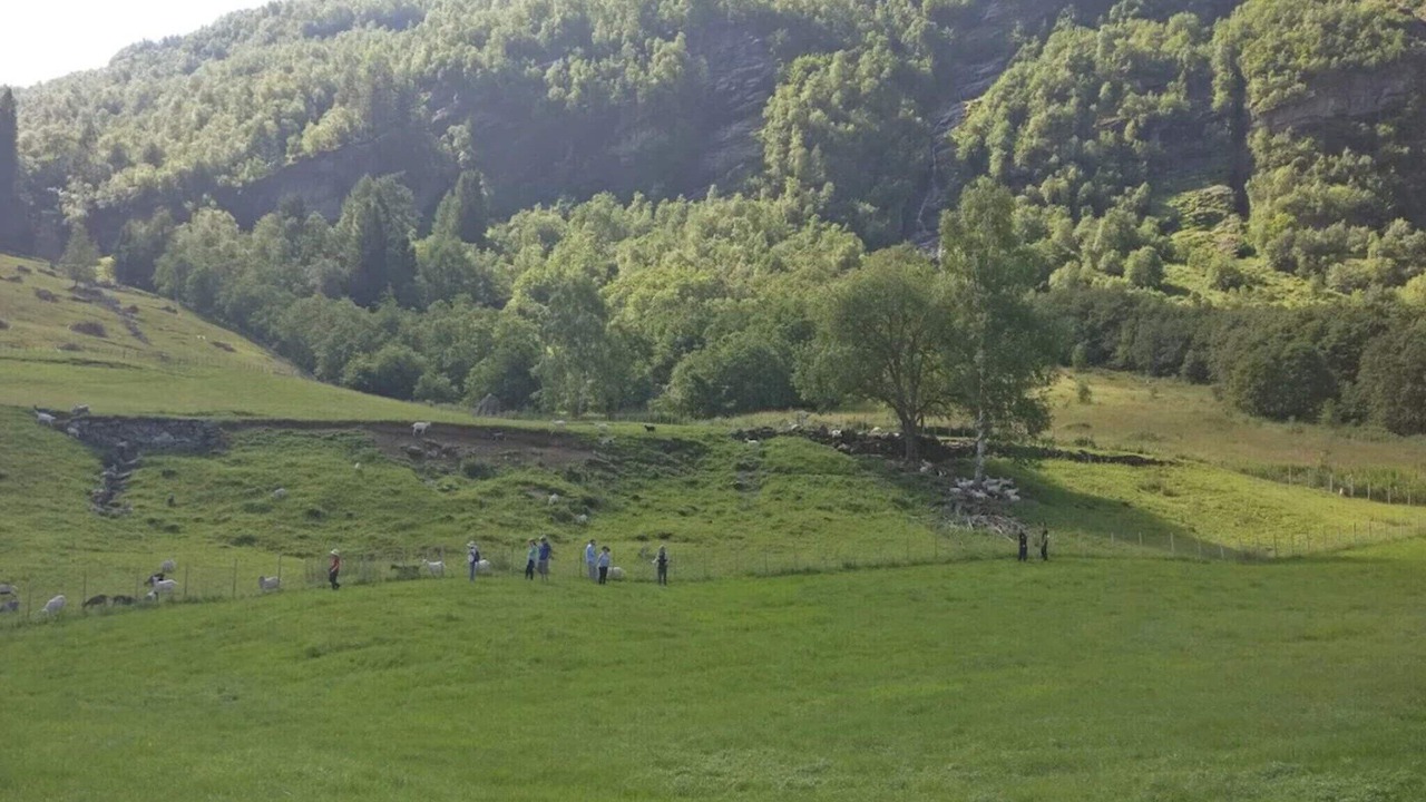 Photo of Others in Bjallansas