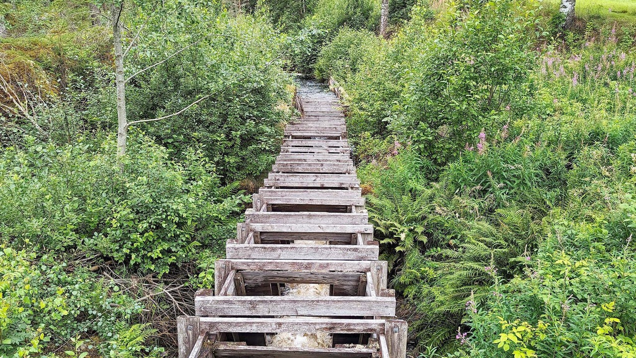 Photo of Outdoor in Syssleback