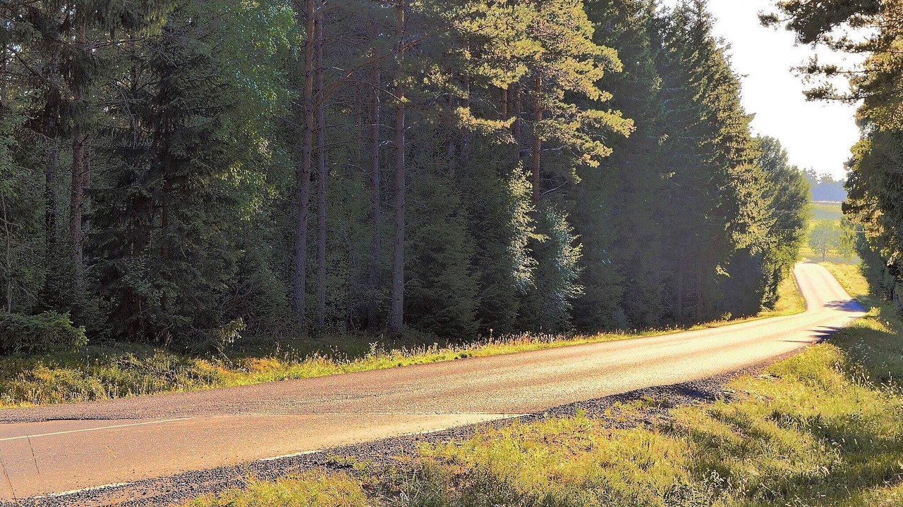 Photo of Others in Syssleback