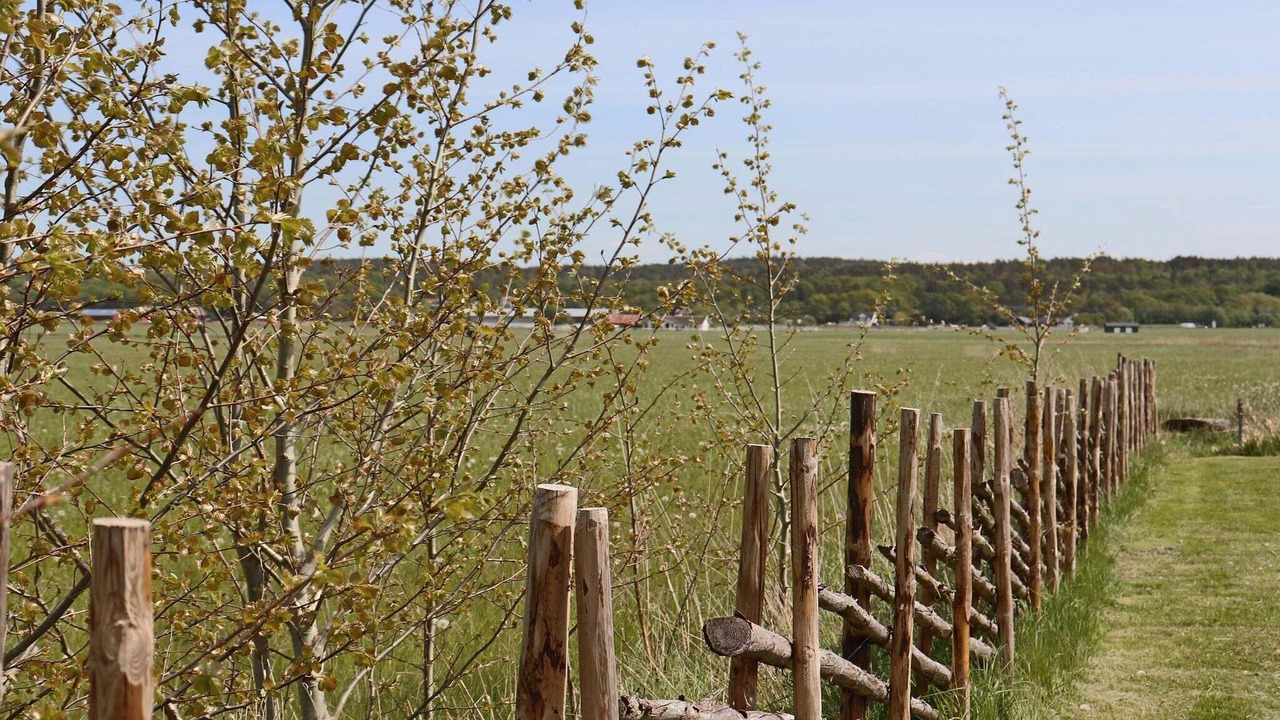 Photo of Outdoor in Askloster