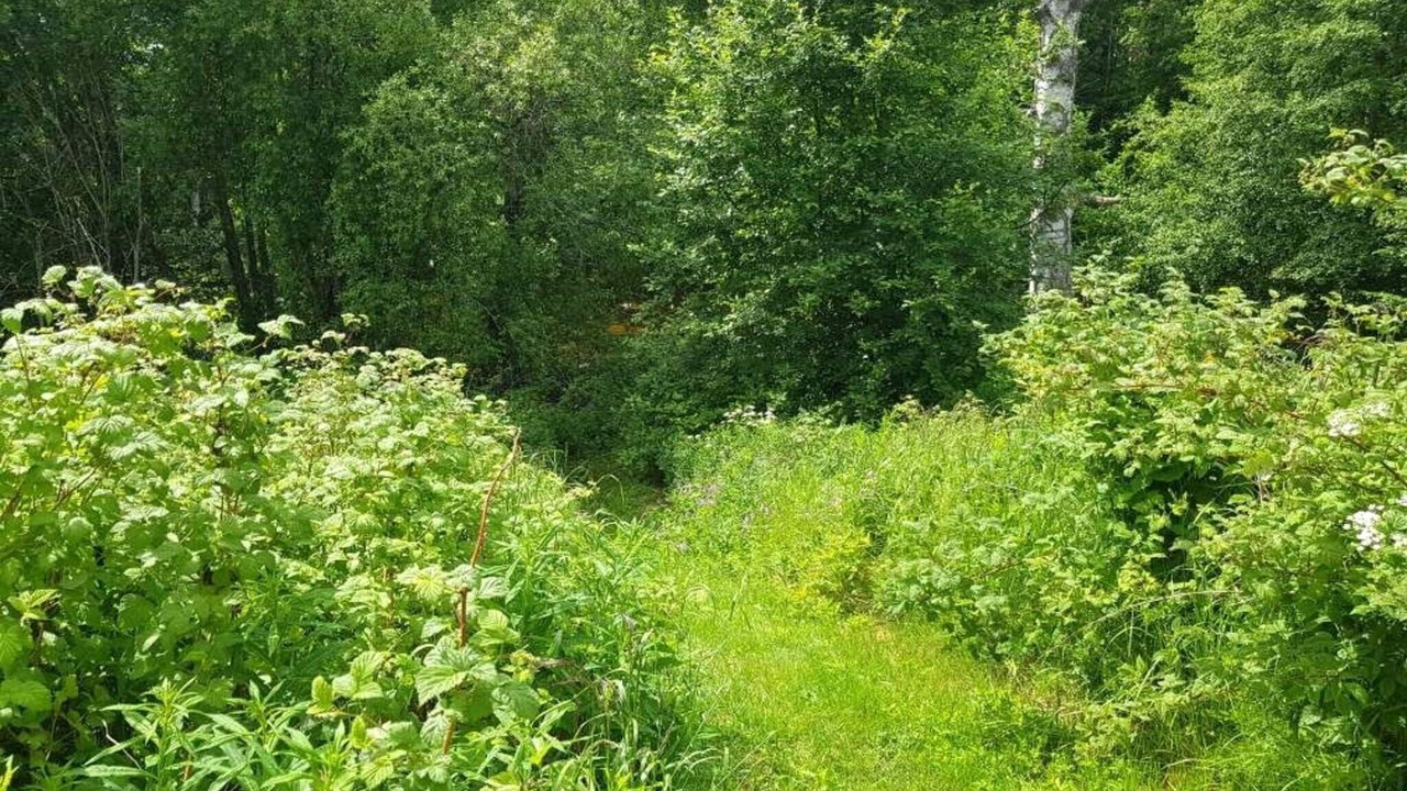 Photo of Outdoor in Ramsjo