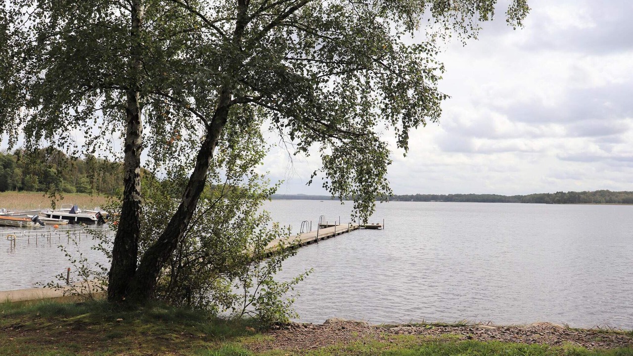 Photo of Others in Hjarnarp