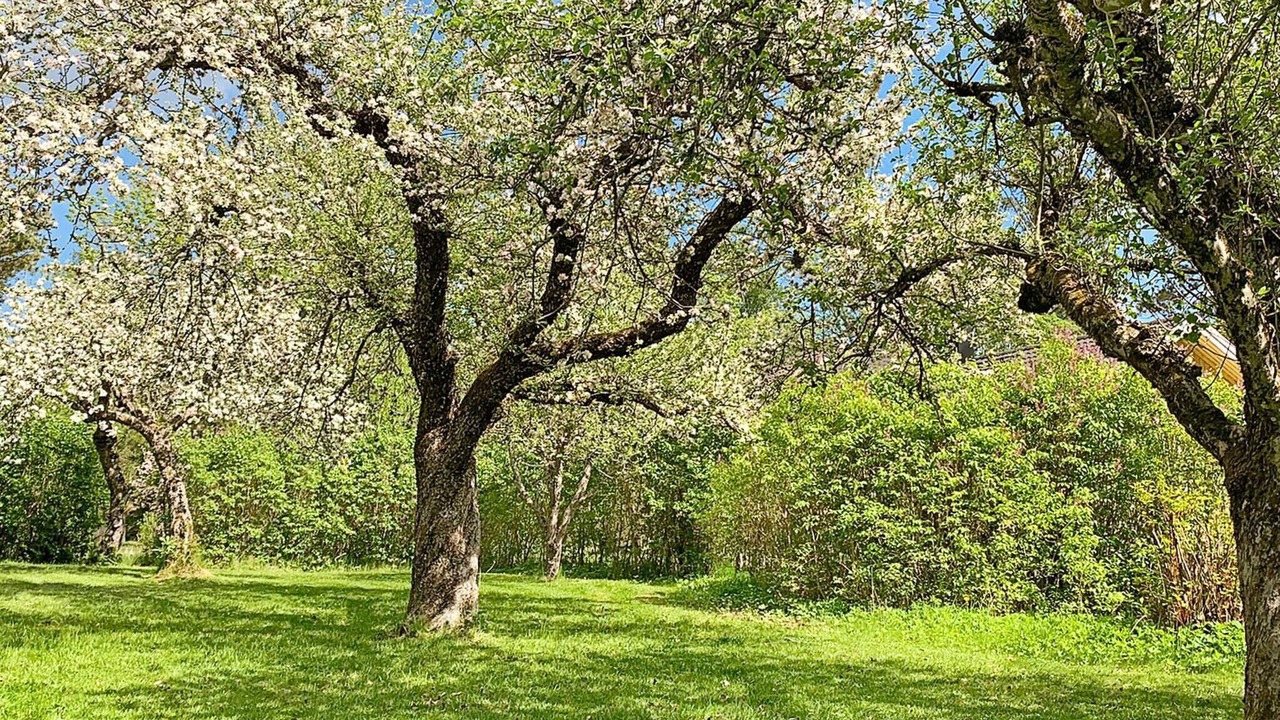 Photo of Outdoor in Osteraker Municipality