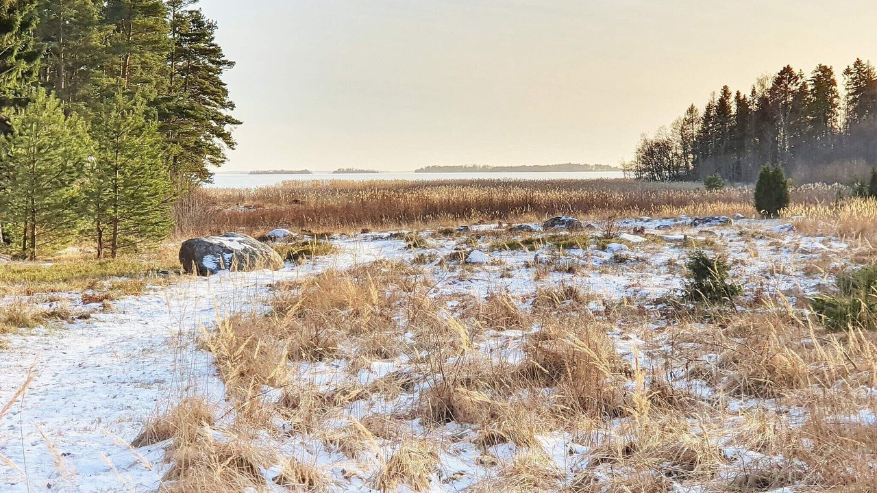 Photo of Others in Finnholmen
