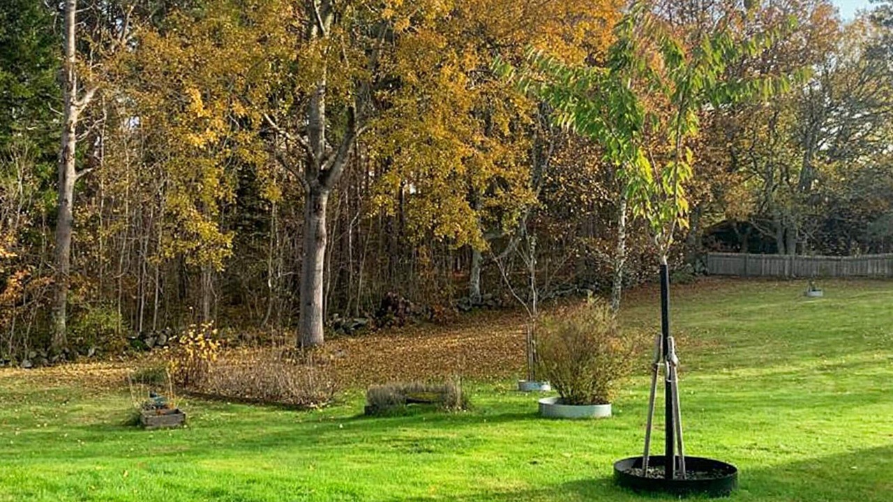 Photo of Outdoor in Nosund