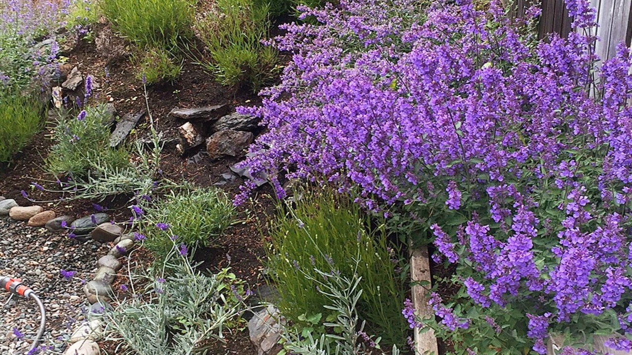 Photo of Outdoor in Leksvik
