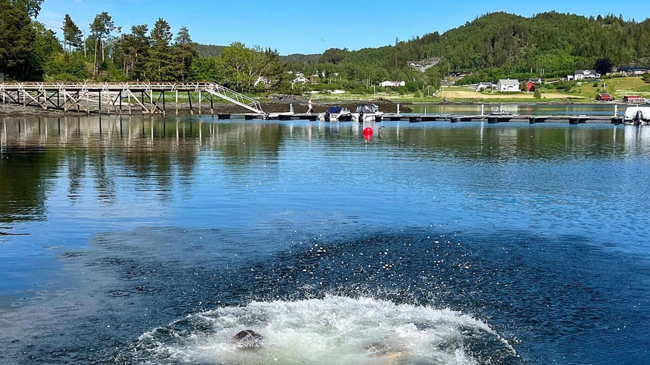 Photo of Others in Leksvik