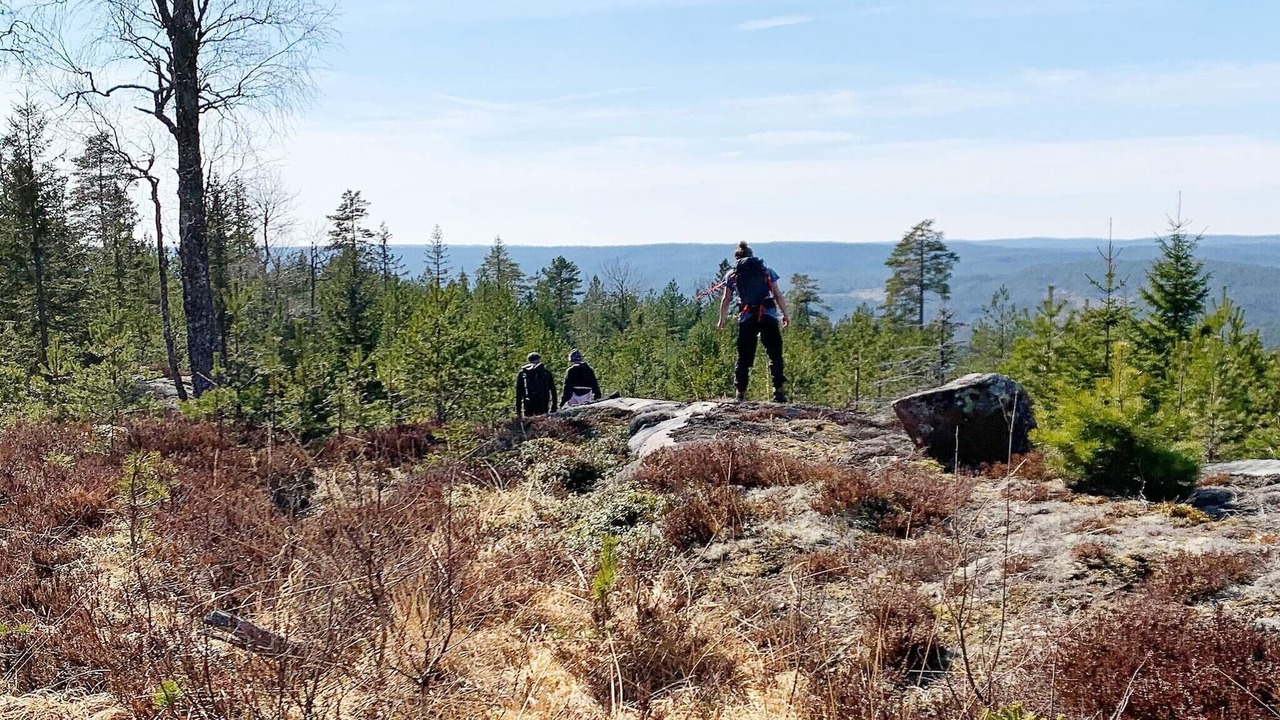 Photo of Others in Tocksfors