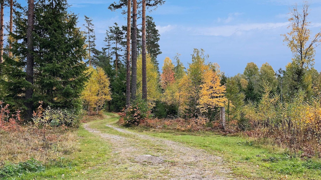 Photo of Others in Tocksfors