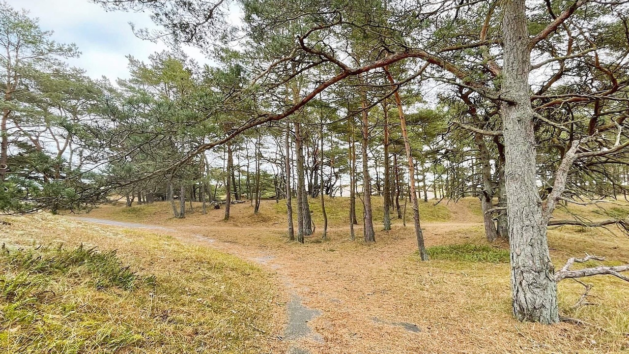Photo of Others in Yngsjo