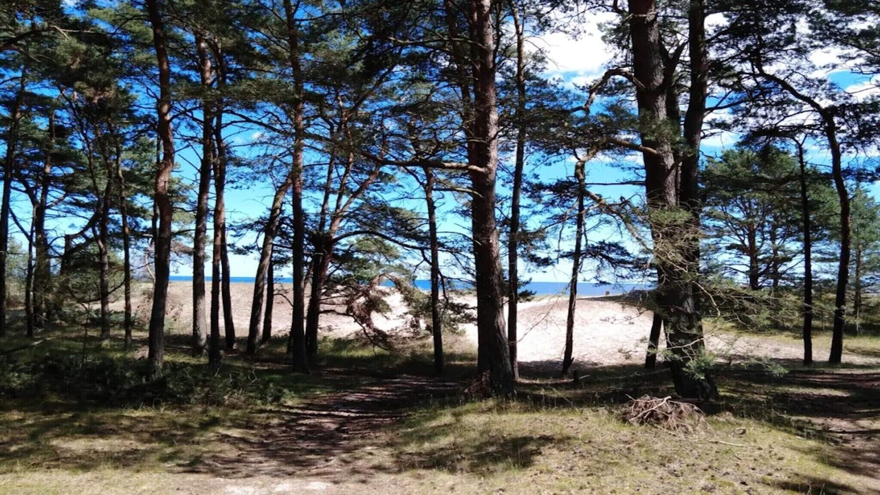 Photo of Others in Yngsjo