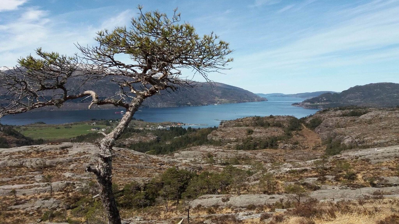 Photo of Outdoor in Stord