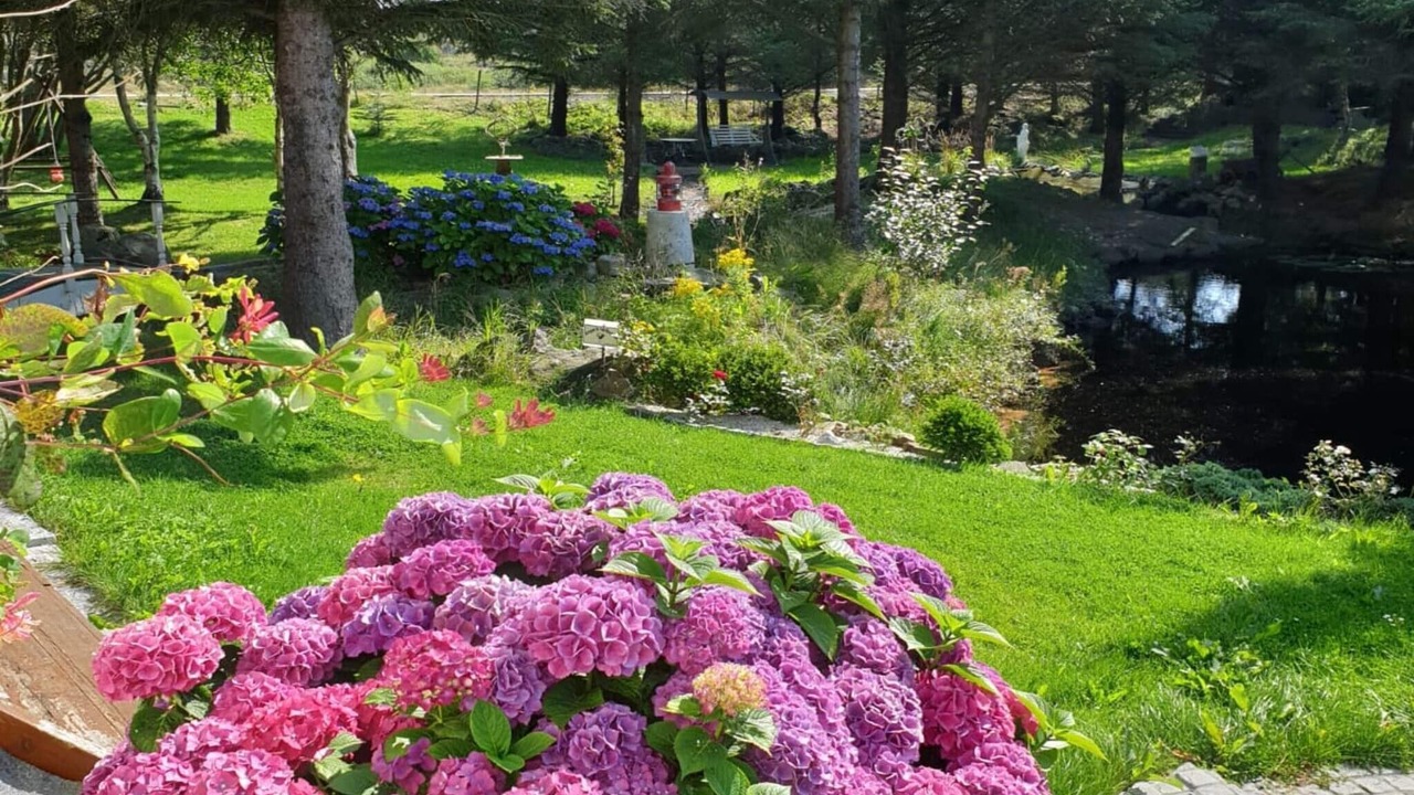 Photo of Outdoor in Karmoy