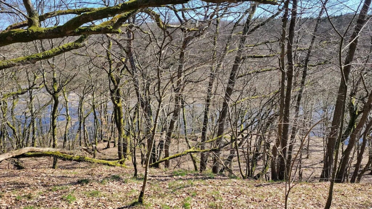 Photo of Others in Ljungbyhed