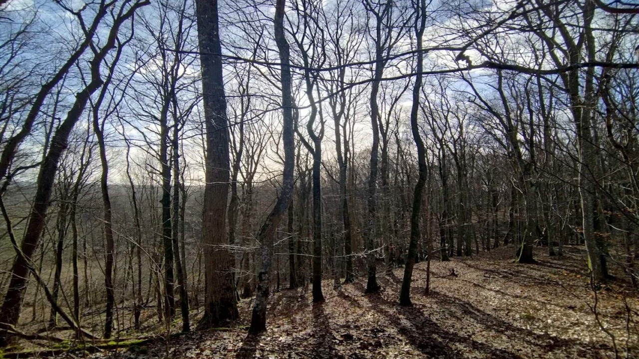 Photo of Others in Ljungbyhed