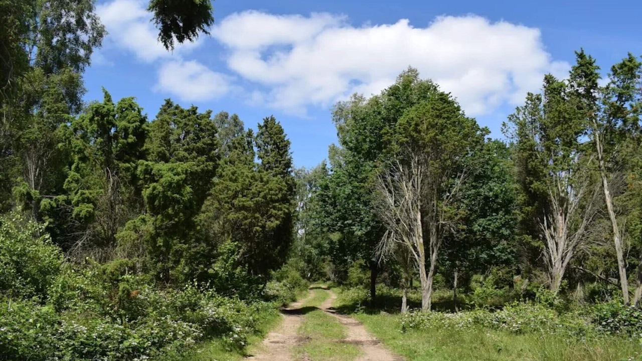 Photo of Others in Ljungbyhed